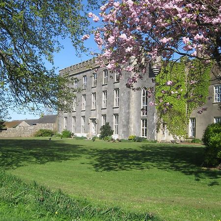 Ash Hill B & B Kilmallock Zewnętrze zdjęcie