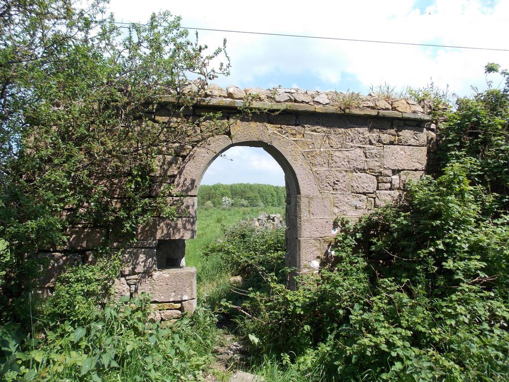 Ash Hill B & B Kilmallock Zewnętrze zdjęcie